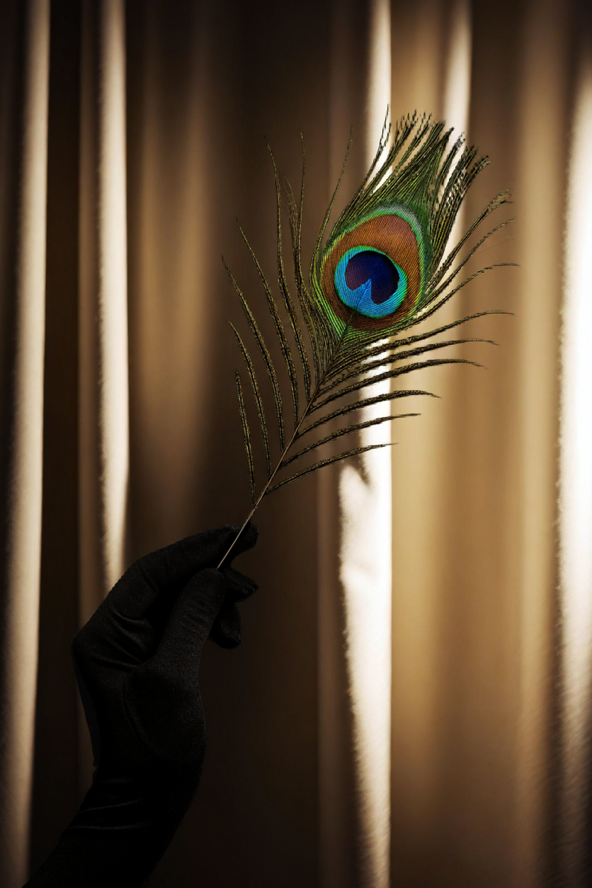 Peacock Feather Sensation
