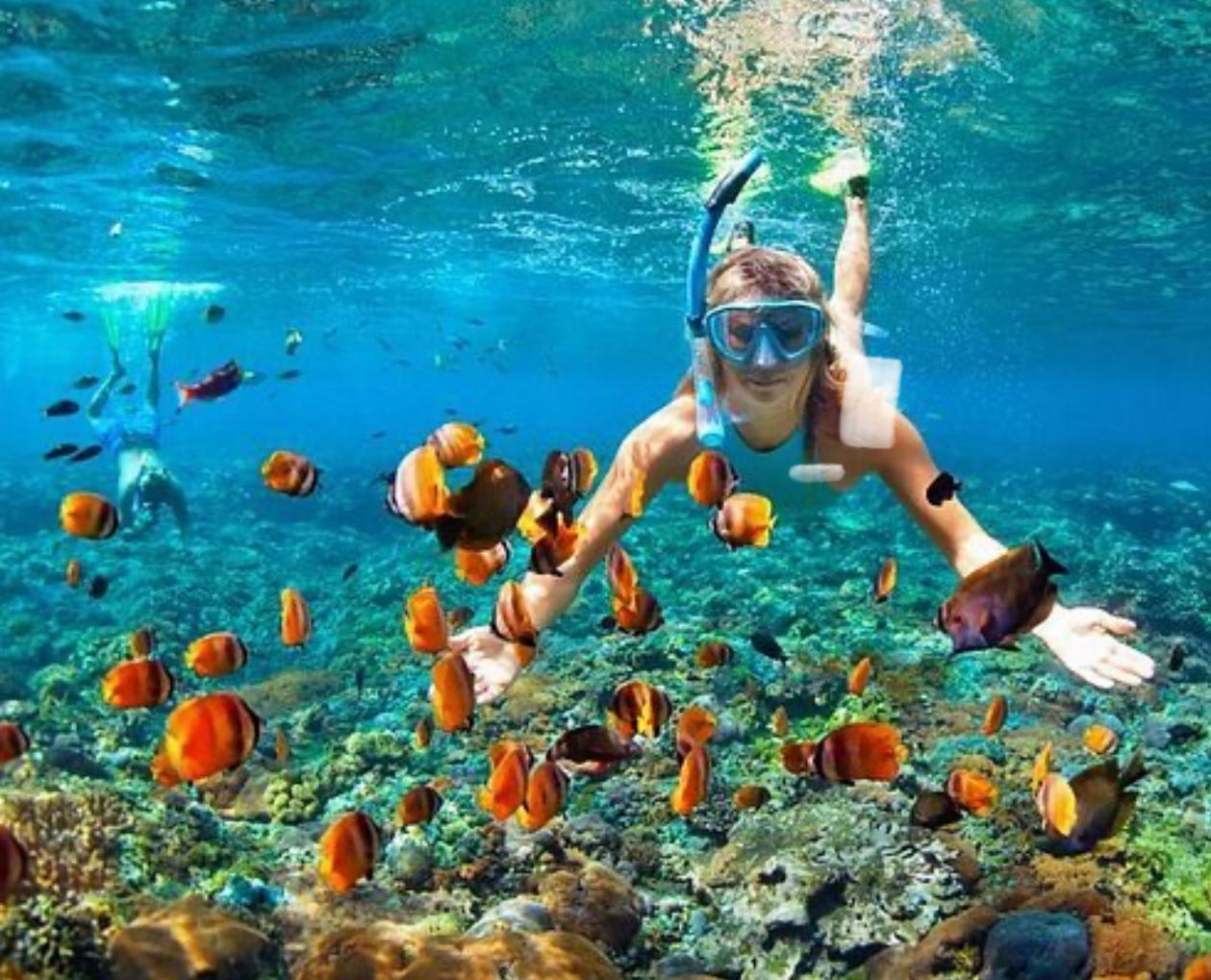 Snorkeling Trip to Gili Gede, Gili Layar and Gili Rengit