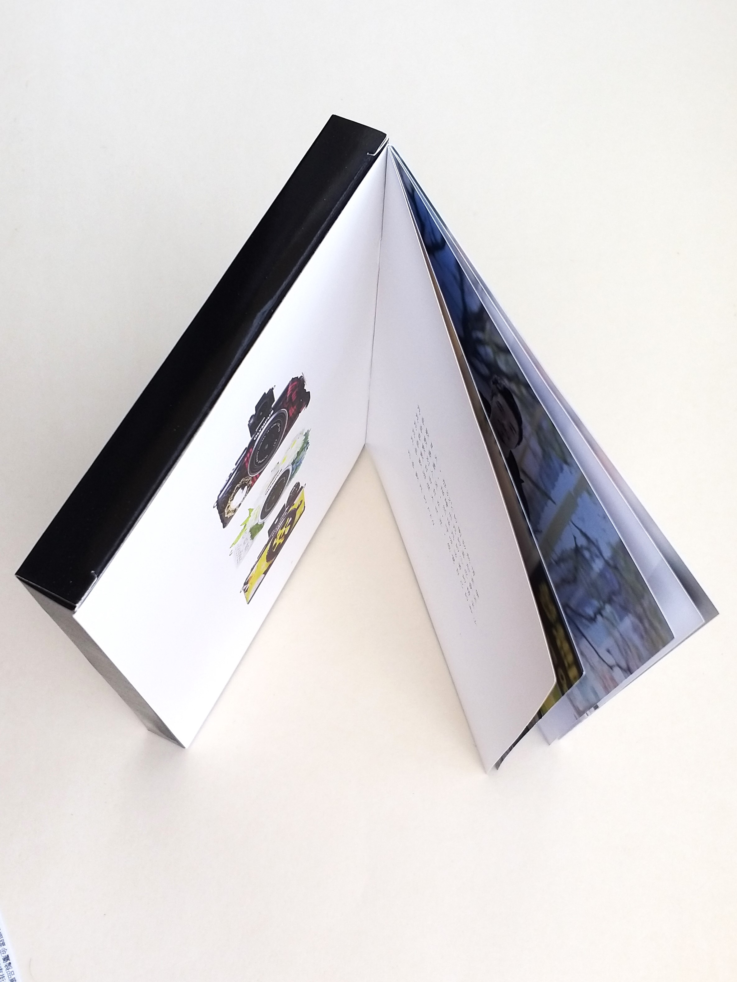 Olympus PEN E-PL1 Mini Camera Phone Charm Strap Keychain - 2011 New In Box