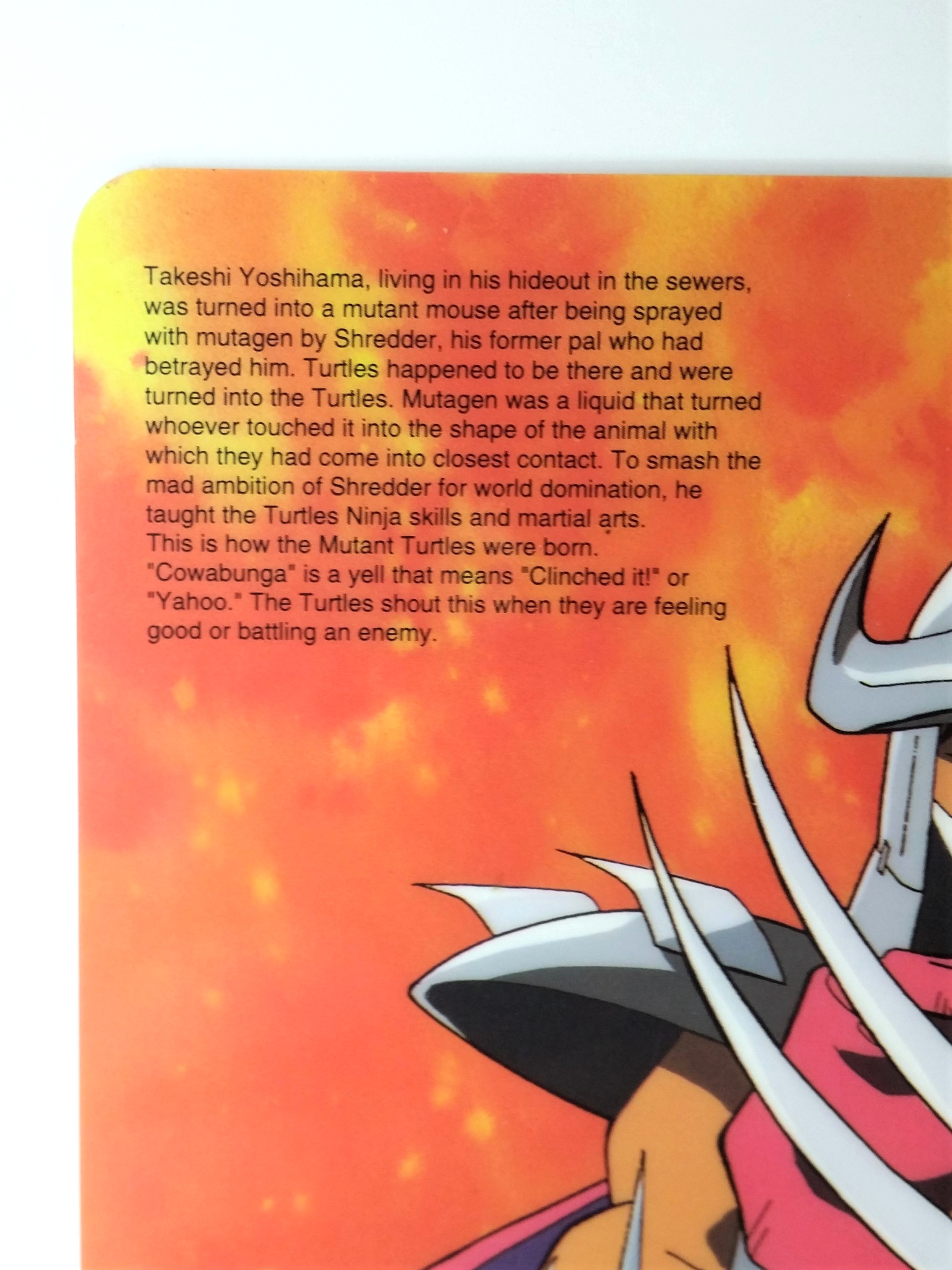 Teenage Mutant NINJA TURTLES Double Sided Pencil Board Shitajiki - 1994 Showa Note