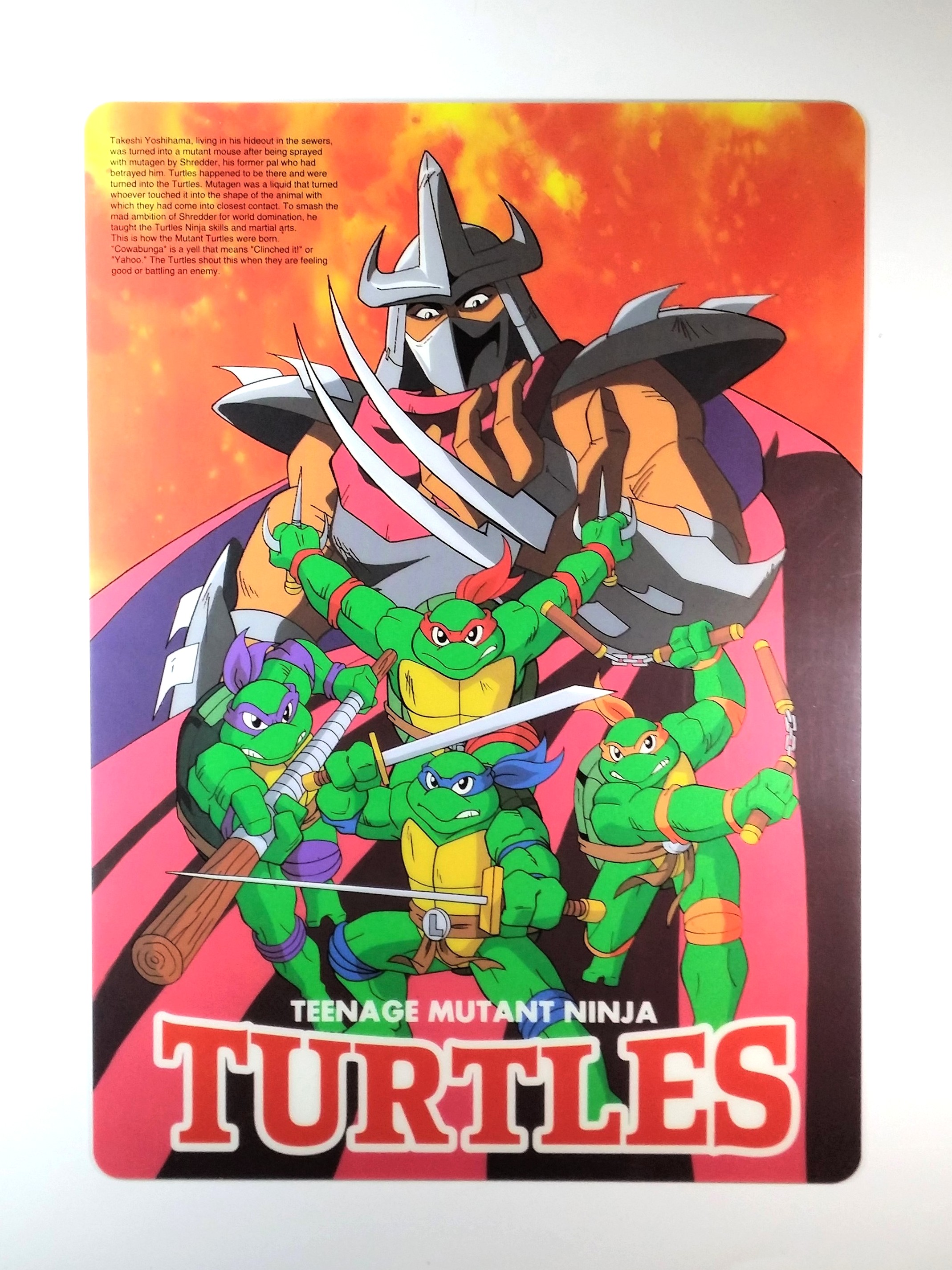 Teenage Mutant NINJA TURTLES Double Sided Pencil Board Shitajiki - 1994 Showa Note