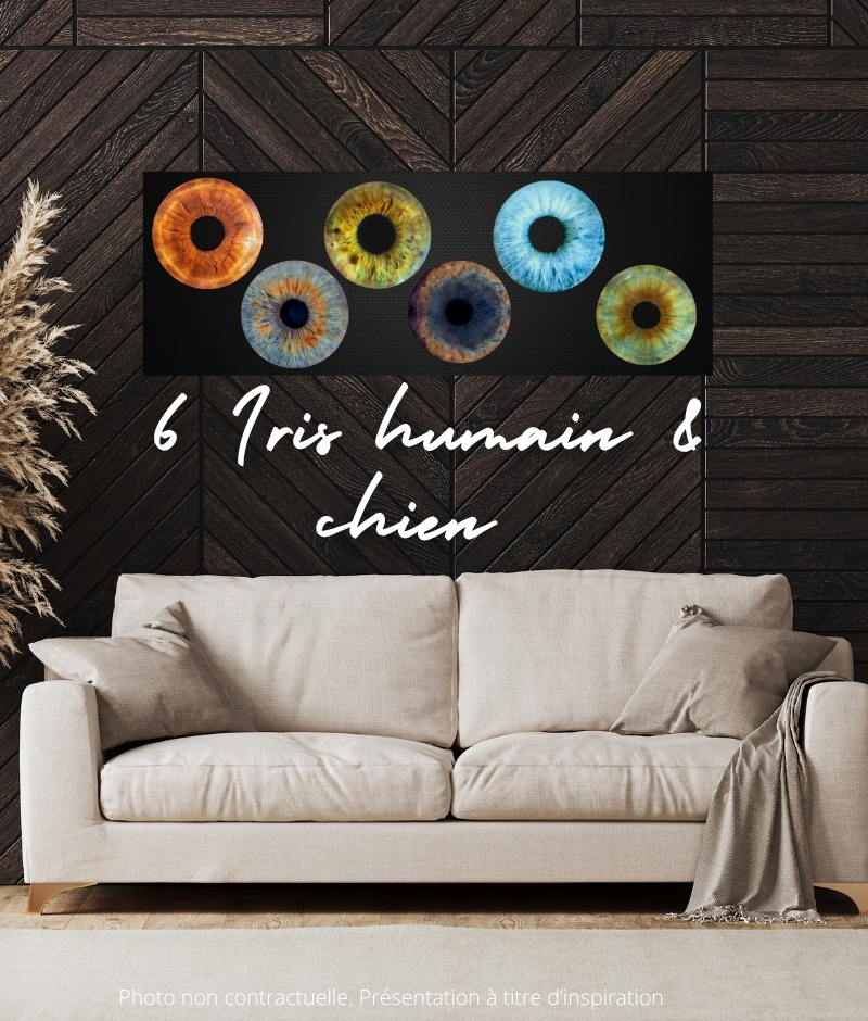 Formule premium Sisto 6 iris