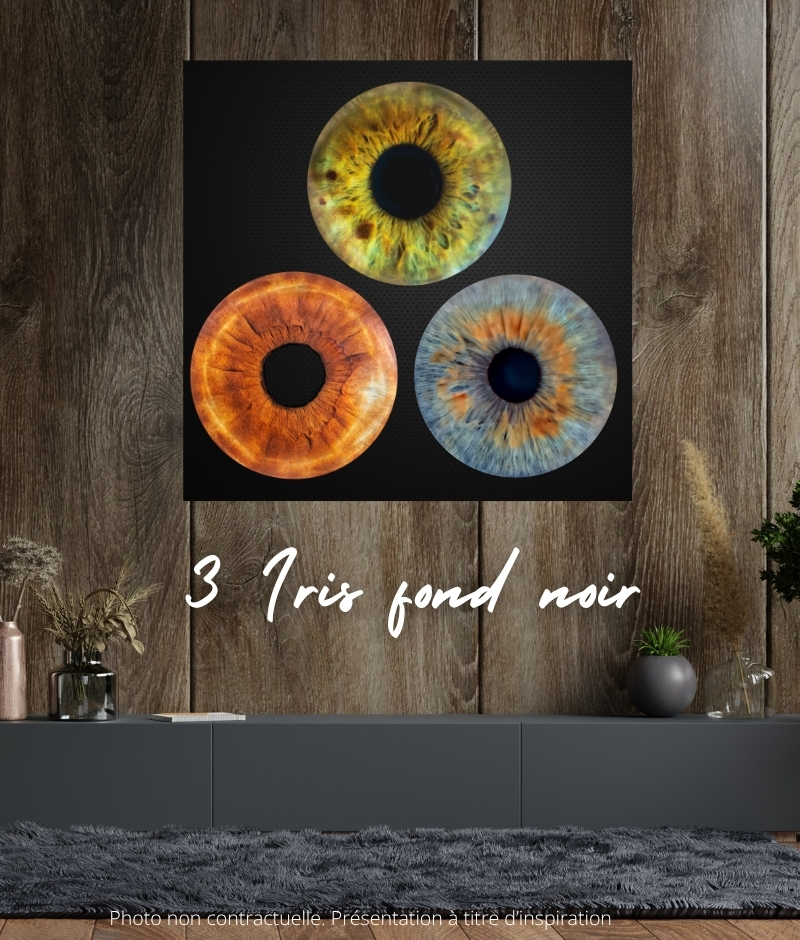 Formule premium Trio 3 iris