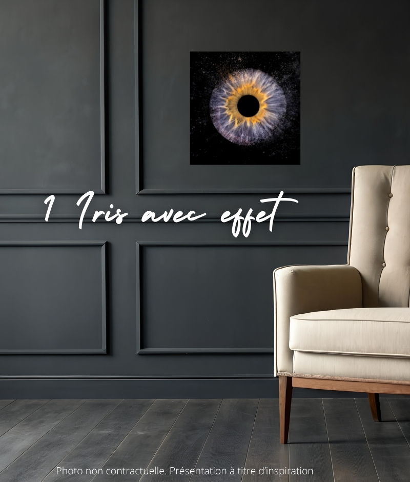 Séance photo digitale 1 iris