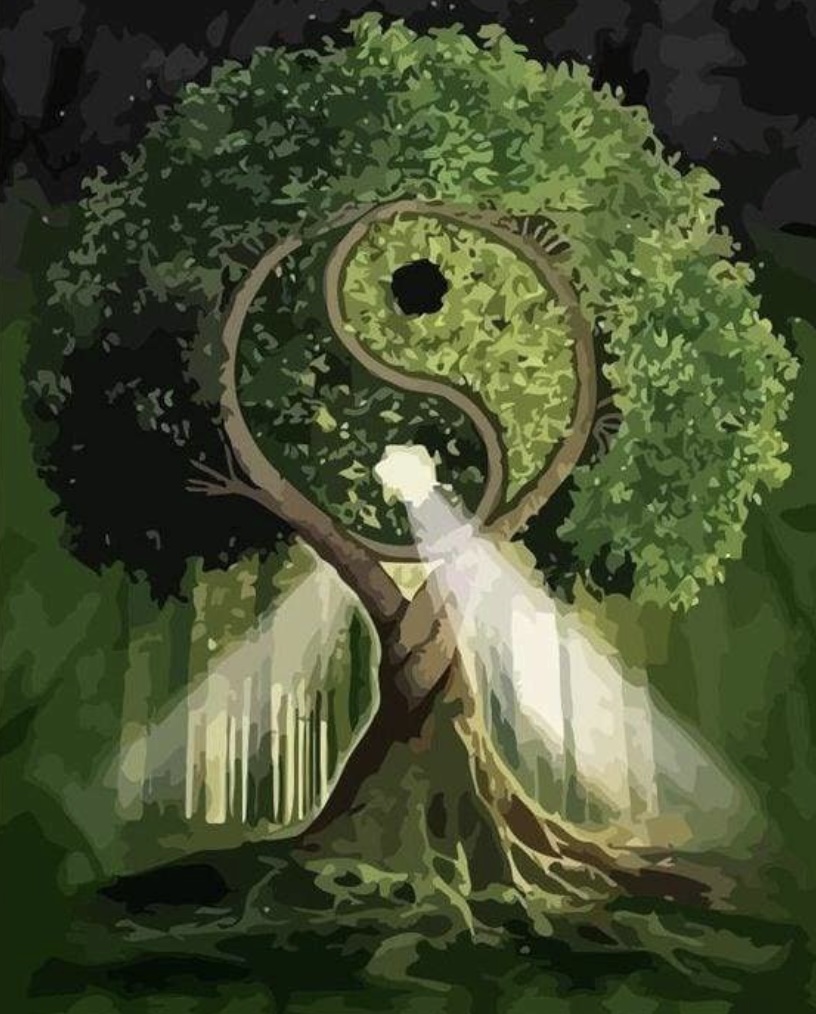 🌿 Kit Peinture par numéros – Arbre Yin et Yang 🎨