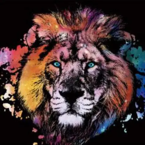 🦁✨ Kit Peinture à gratter – Lion