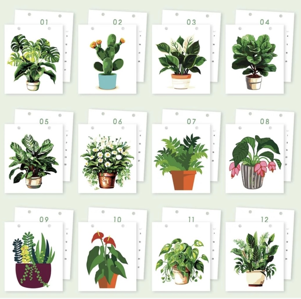 🪴📅 Calendrier Peinture par numéros 2026 – Plantes d’intérieur en pot