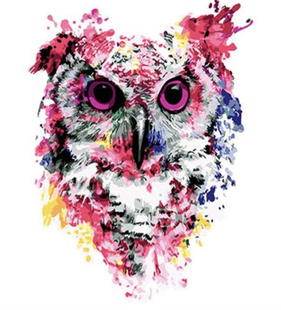 Chouette rose moderne Peinture par numéros