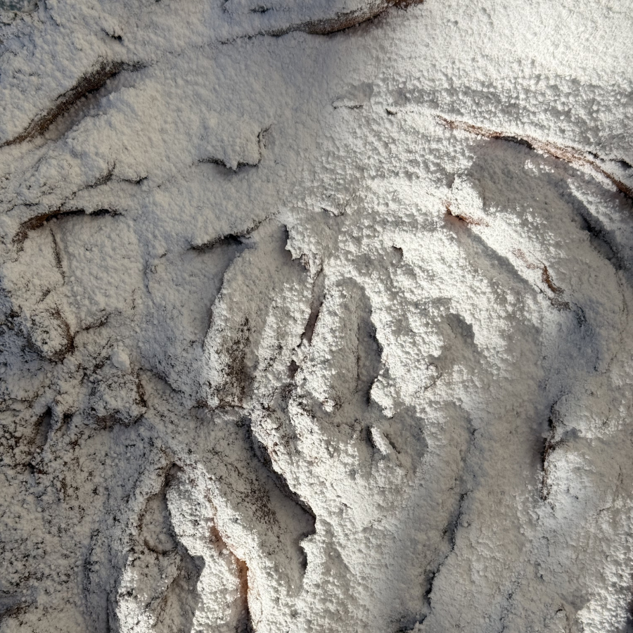 Karpatka z budyniowym kremem o sokiem z jagód 