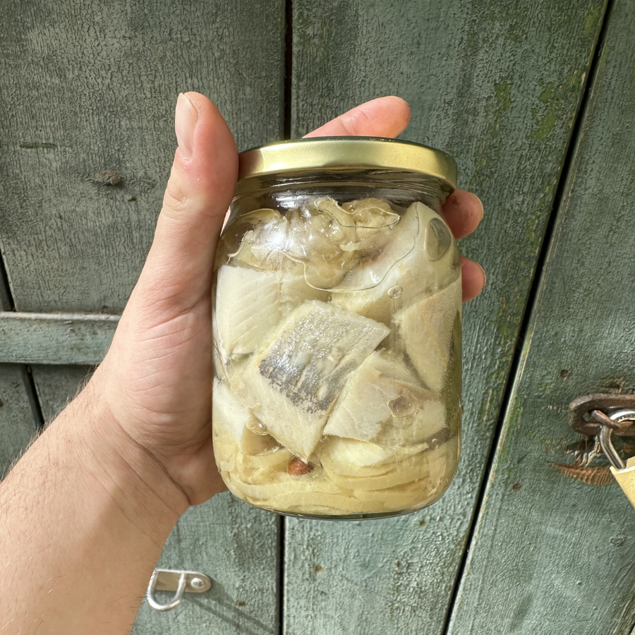 Śledź z cebula w oleju