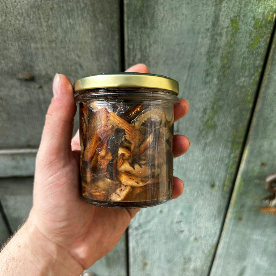 Boczniak „a’la śledź” z wodorostami nori (VEGAN)