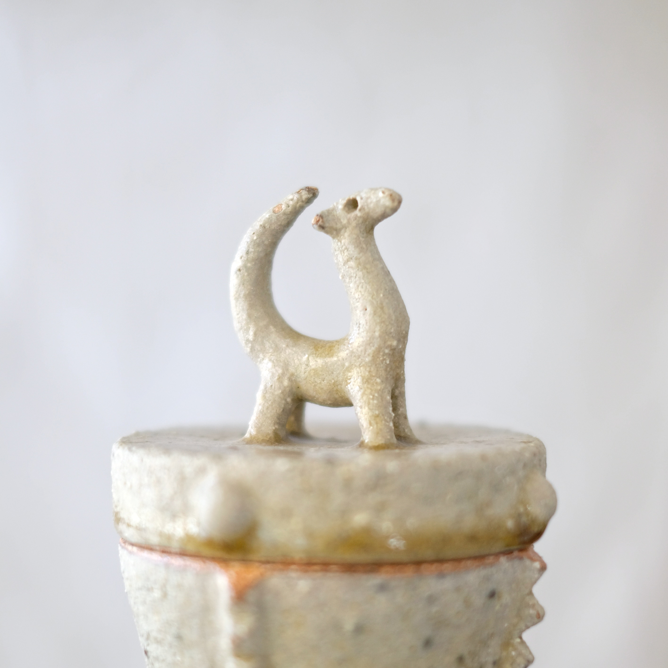 BOITE ANIMAUX