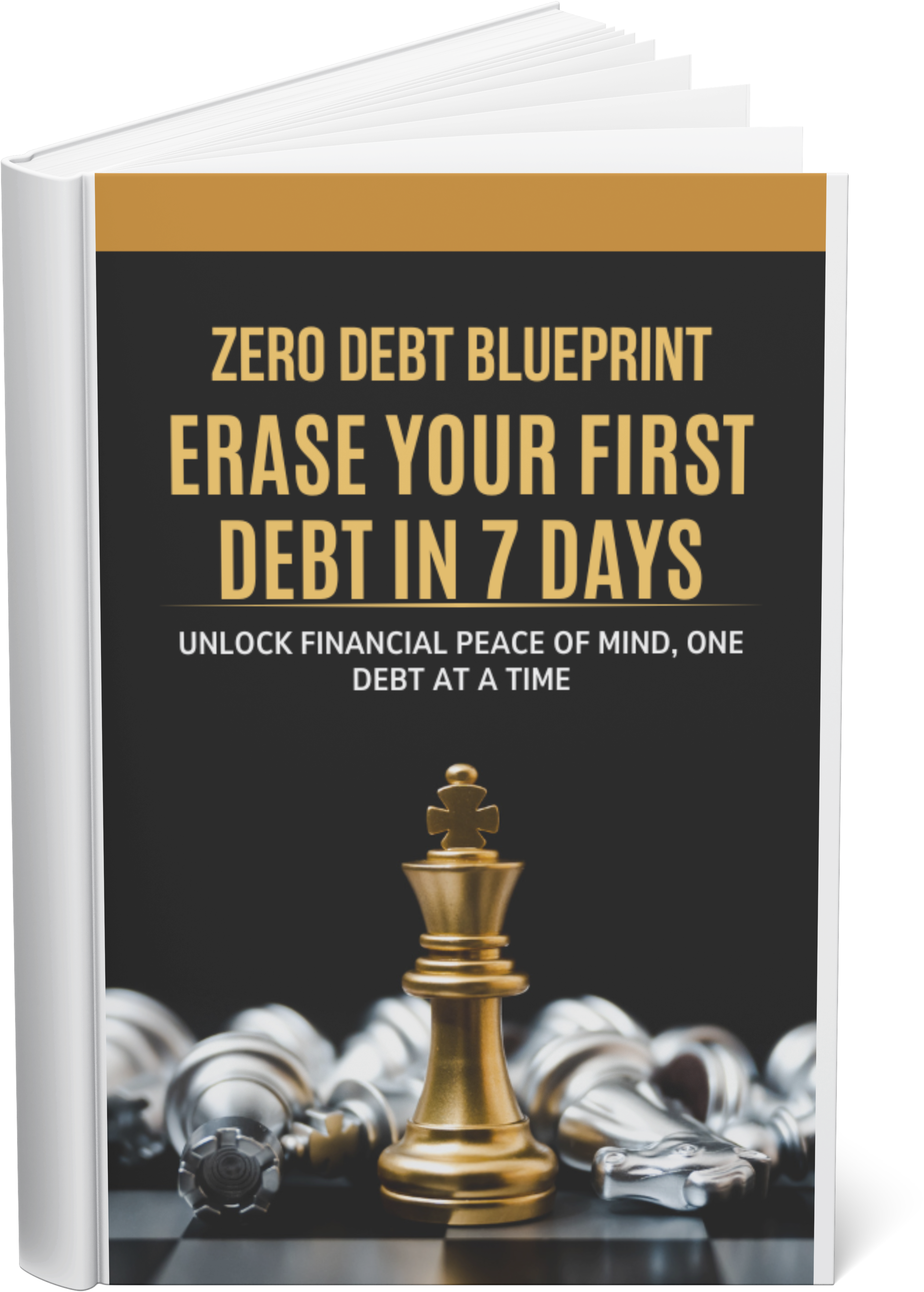 Zero Debt Blueprint