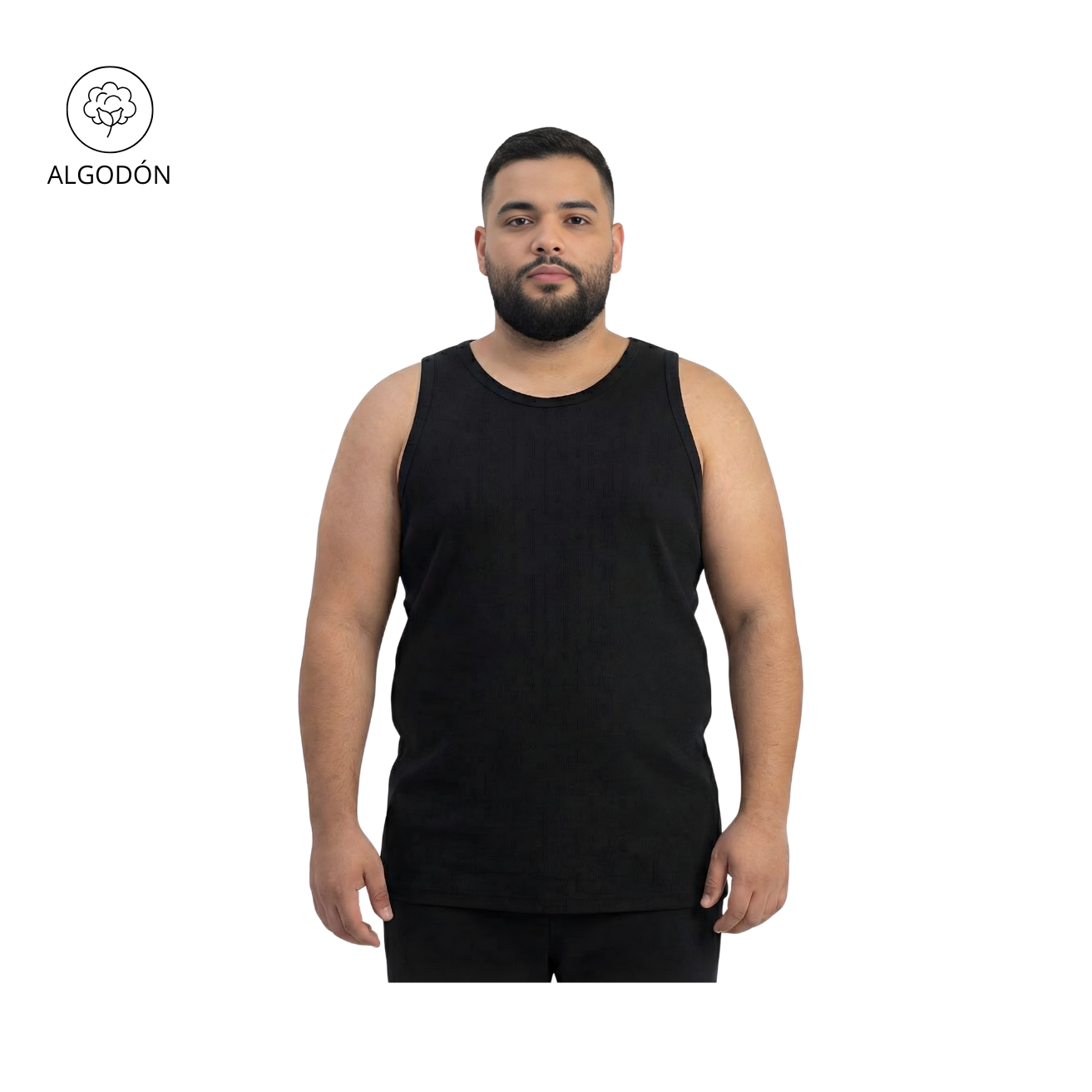 CAMISILLA DRAC COLOR 