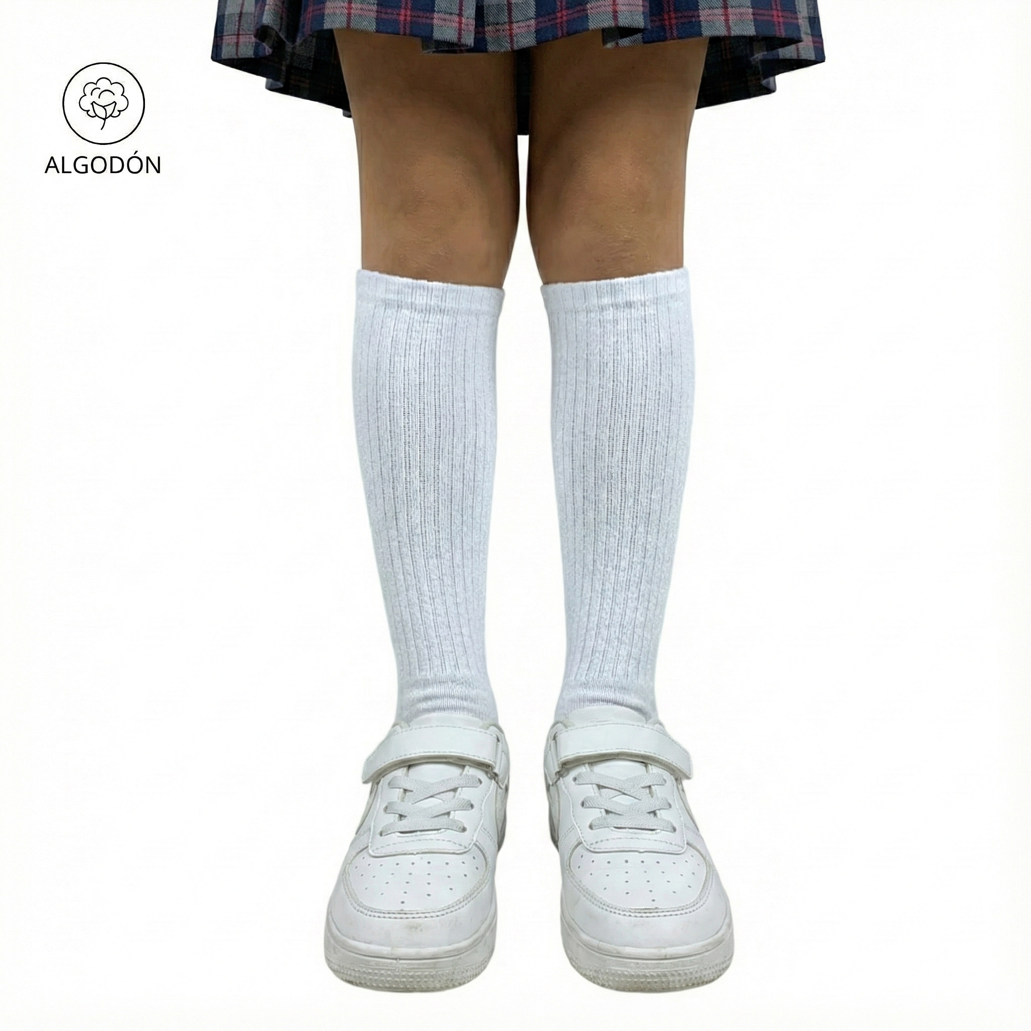 MEDIA 8-10 10-12 COLEGIAL SCHOOL