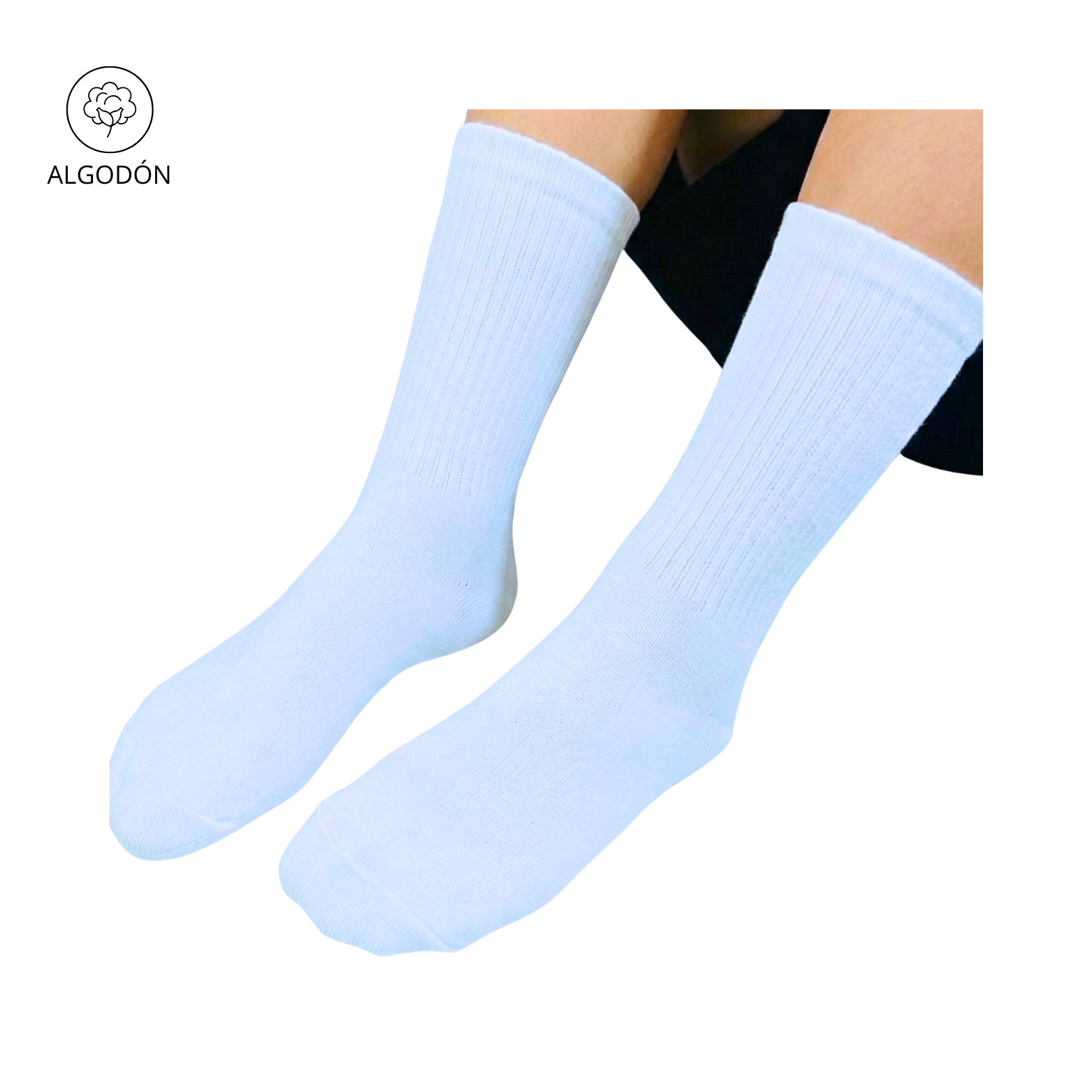 MEDIA COLEGIAL LISA UG PUNTO FINO