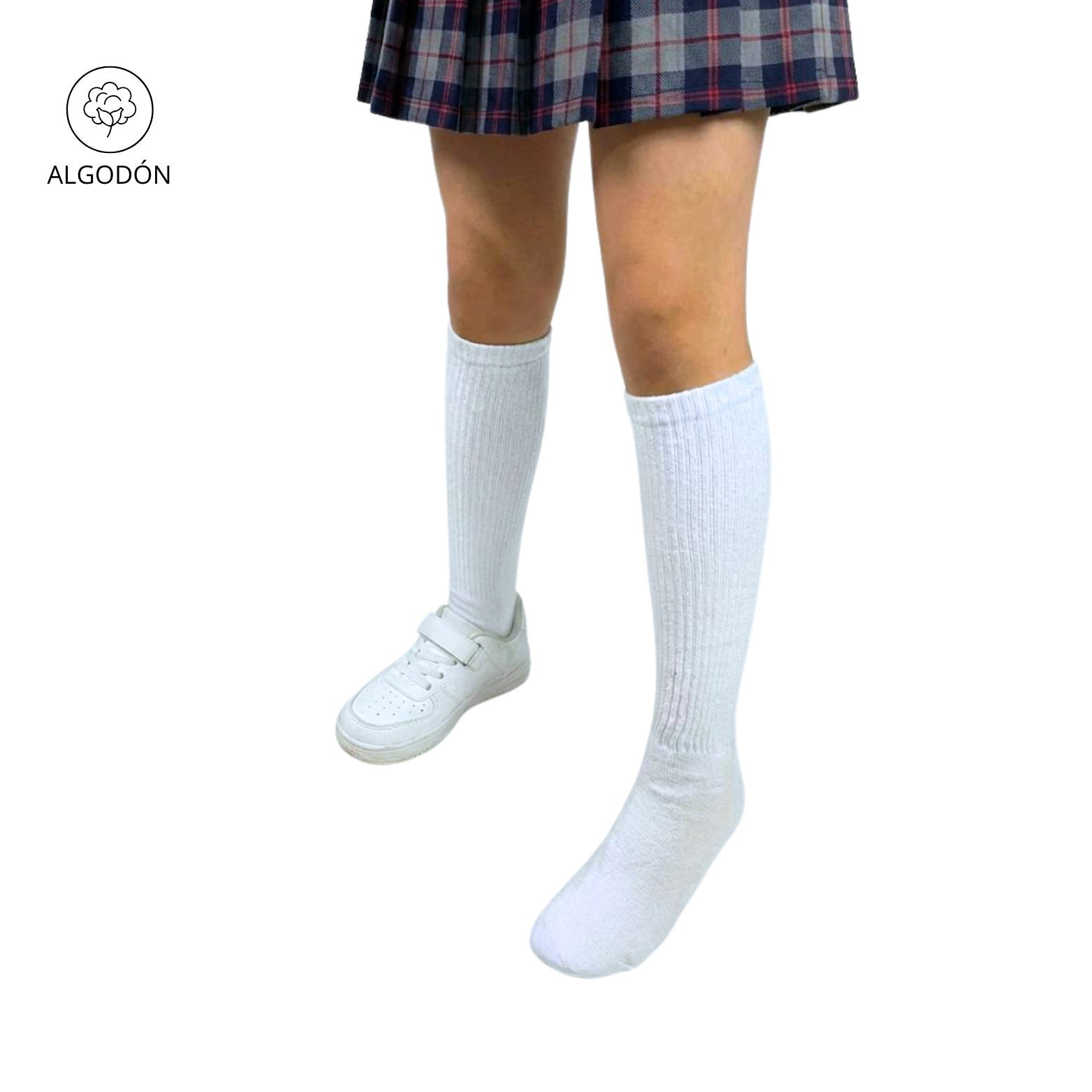 MEDIA 8-10 10-12 COLEGIAL SCHOOL