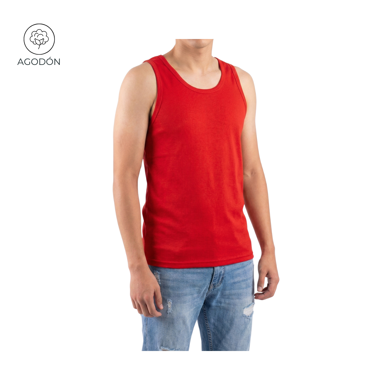 CAMISILLA HOMBRE  COLOR