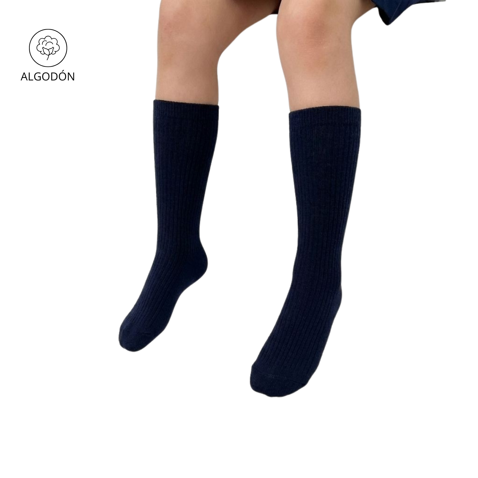 MEDIA WILLIZ TURQUI 10-12 