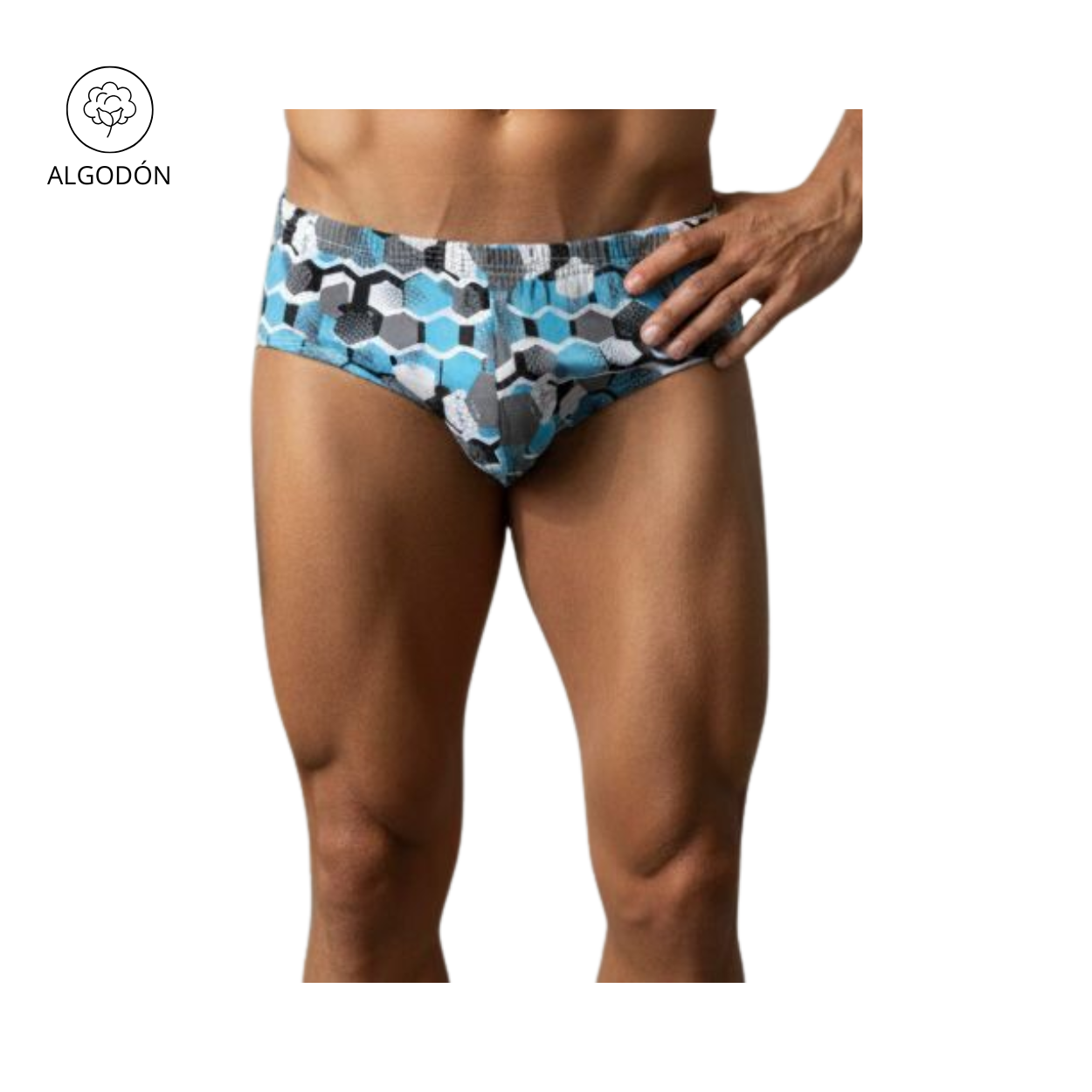 PANTALONCILLO HB  ESTAMPADO