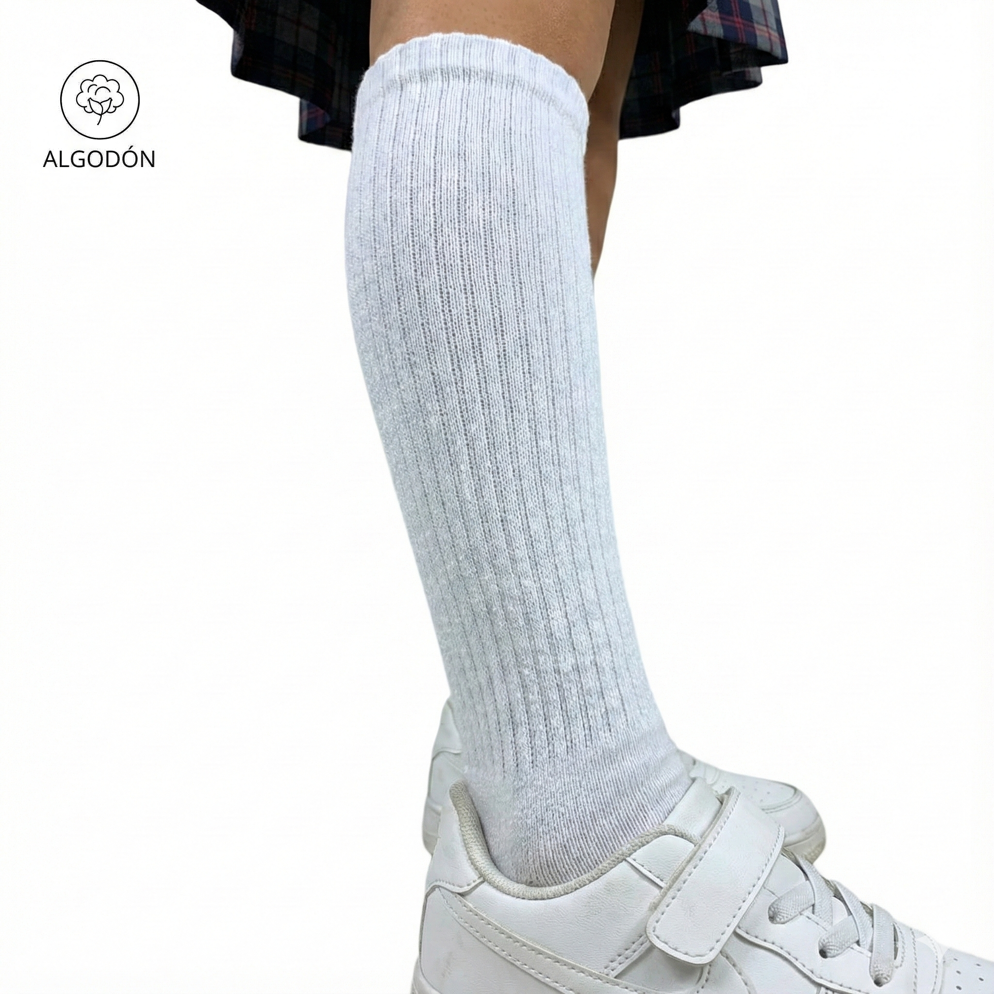 MEDIA 8-10 10-12 COLEGIAL SCHOOL