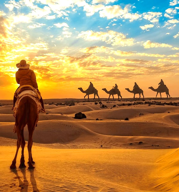 Explore the Golden City with Harry – your local, government-authorized guide since 2005.