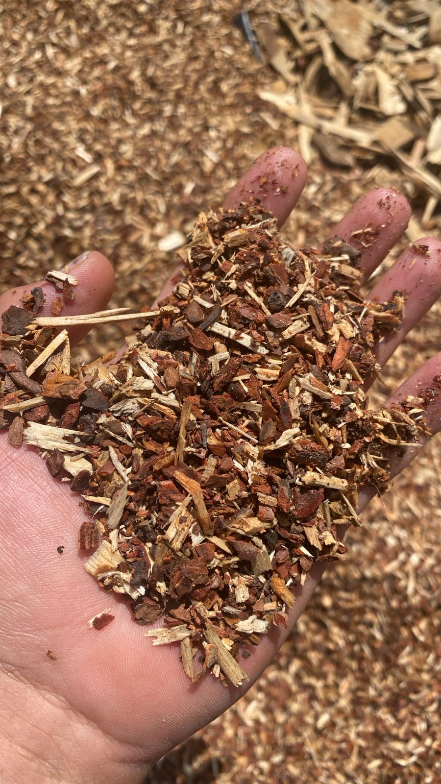 Mini Pine Wood Chips