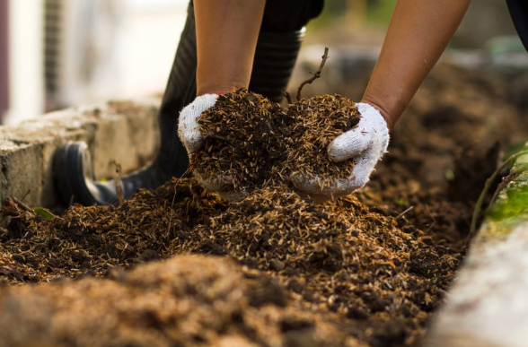 Natural Fertilizer