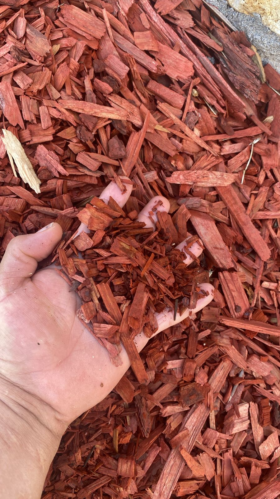 Decorative Pine Wood Chips