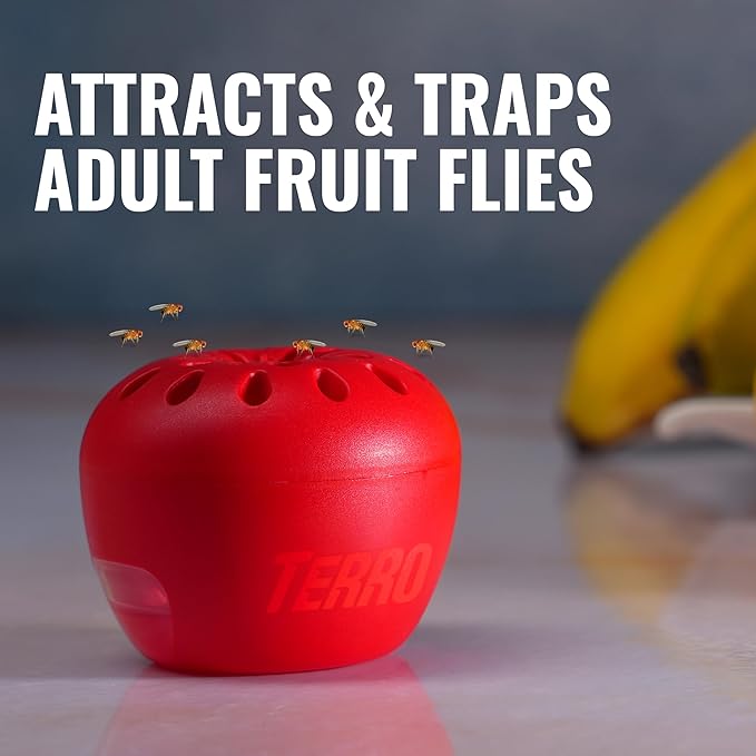 Fruit Fly Trap