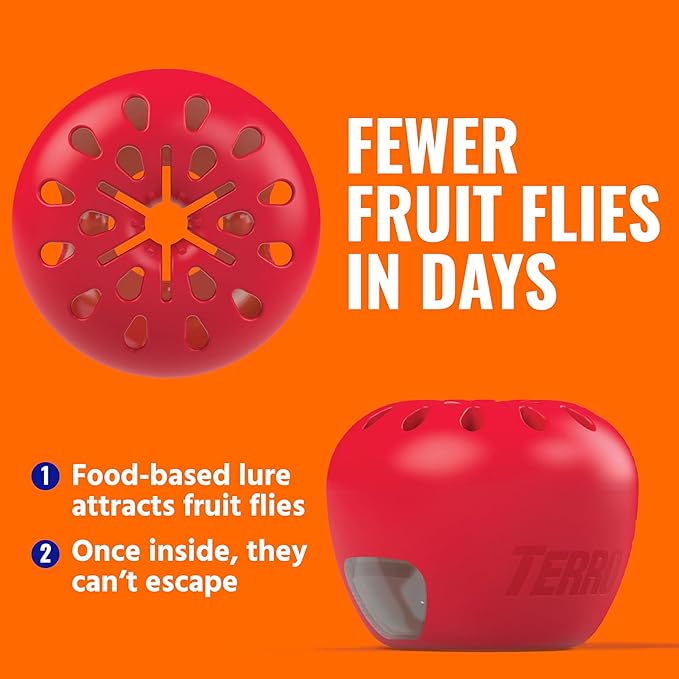 Fruit Fly Trap