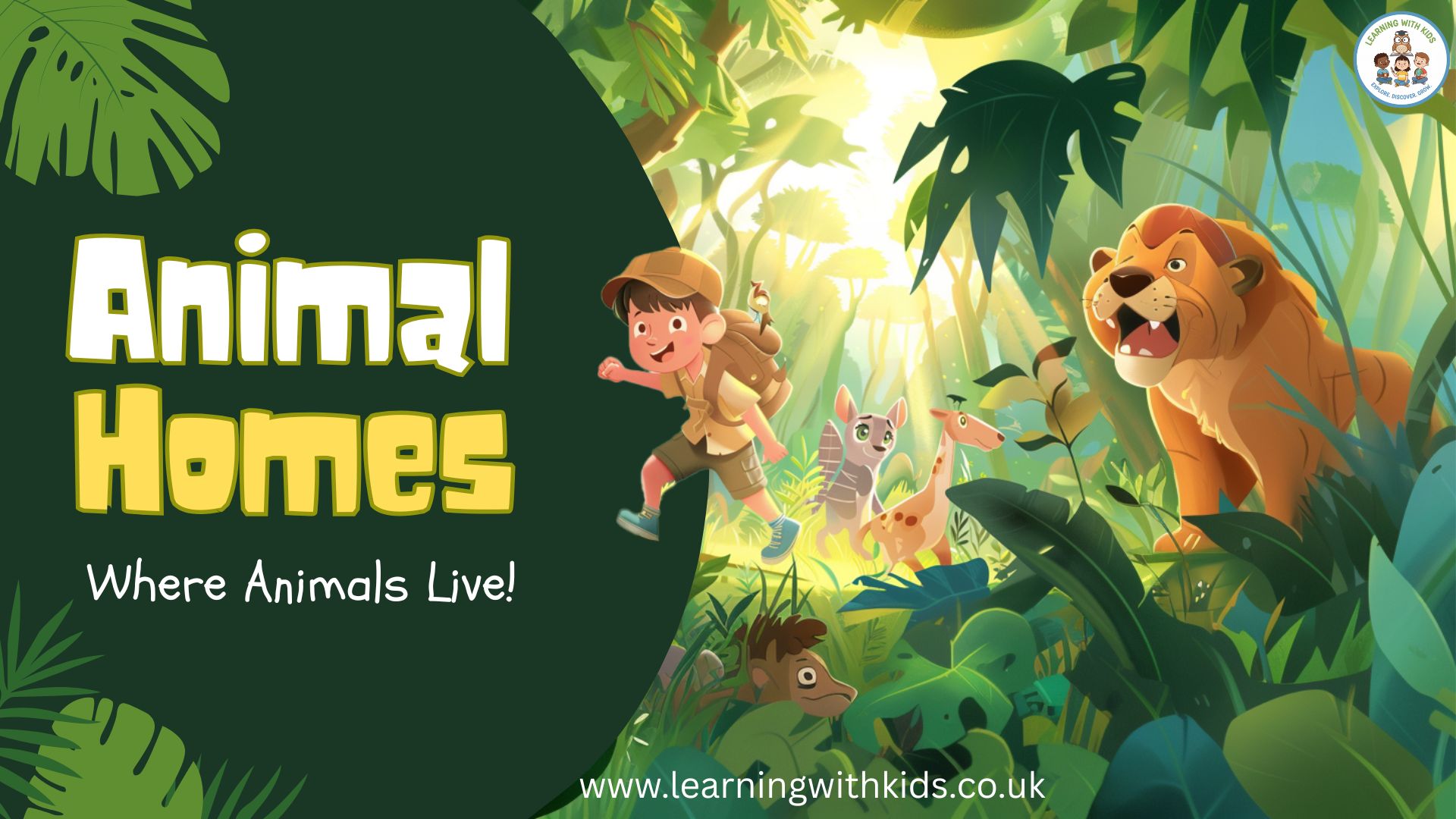 Animal Homes Educational Video