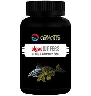 Algae Wafers