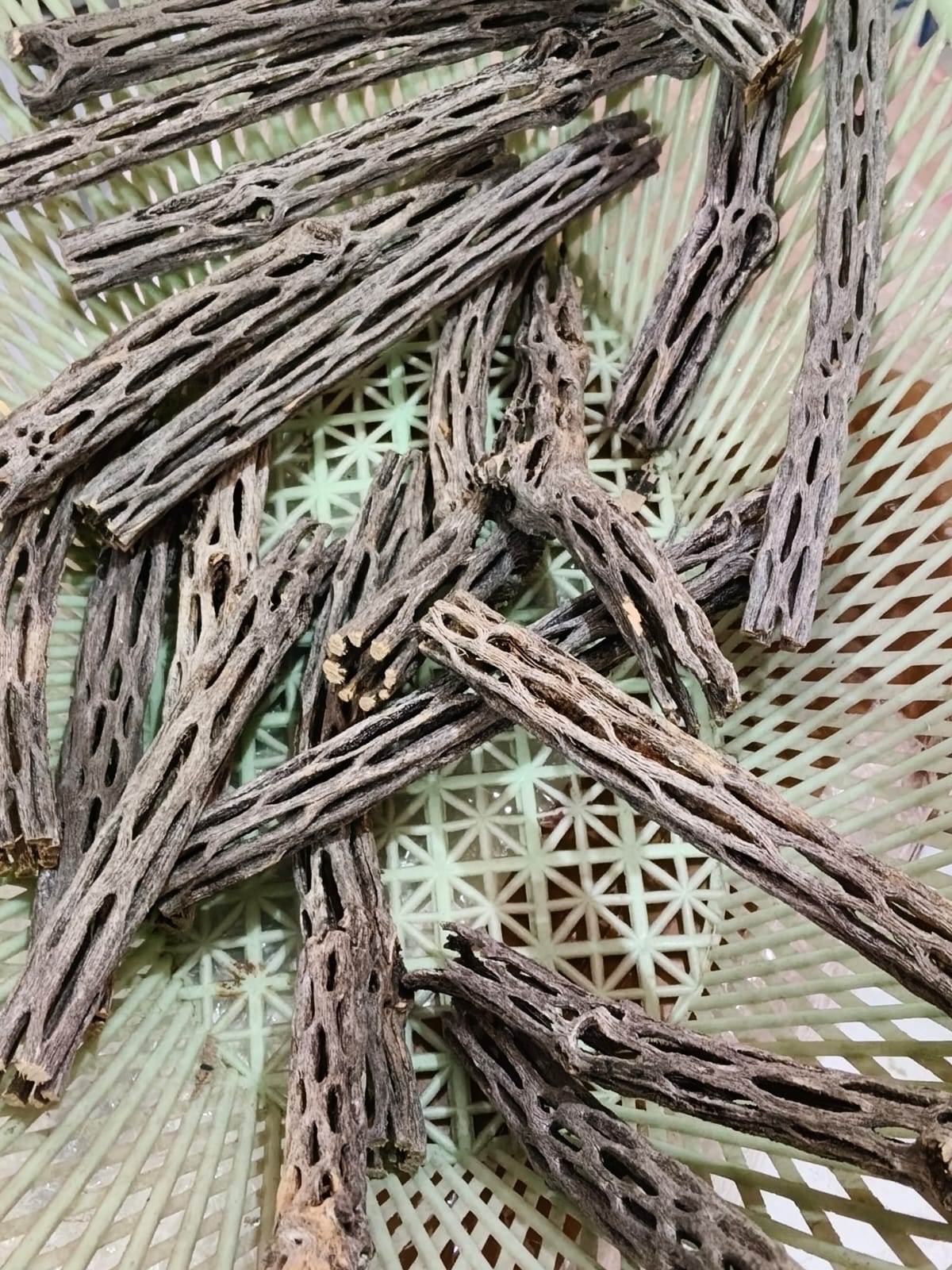 Cholla Wood For Shrimp Tank | 3 For 1100