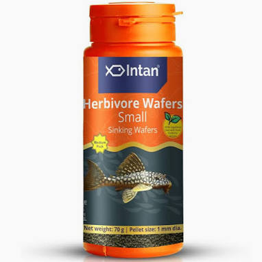 Intan Herbivore Wafers Small | 70 gms