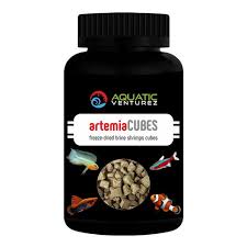 Artemia Cubes