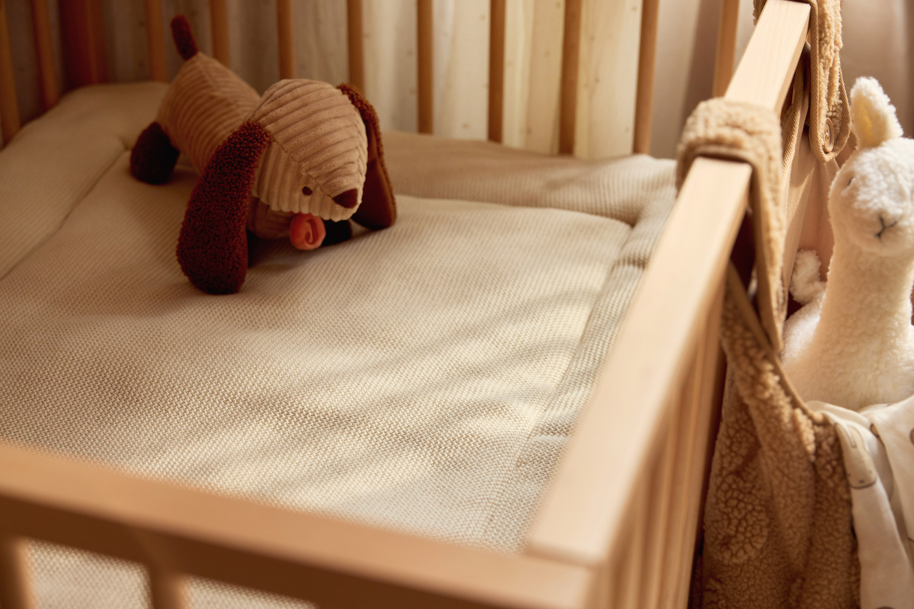 Gepersonaliseerde knuffelhond