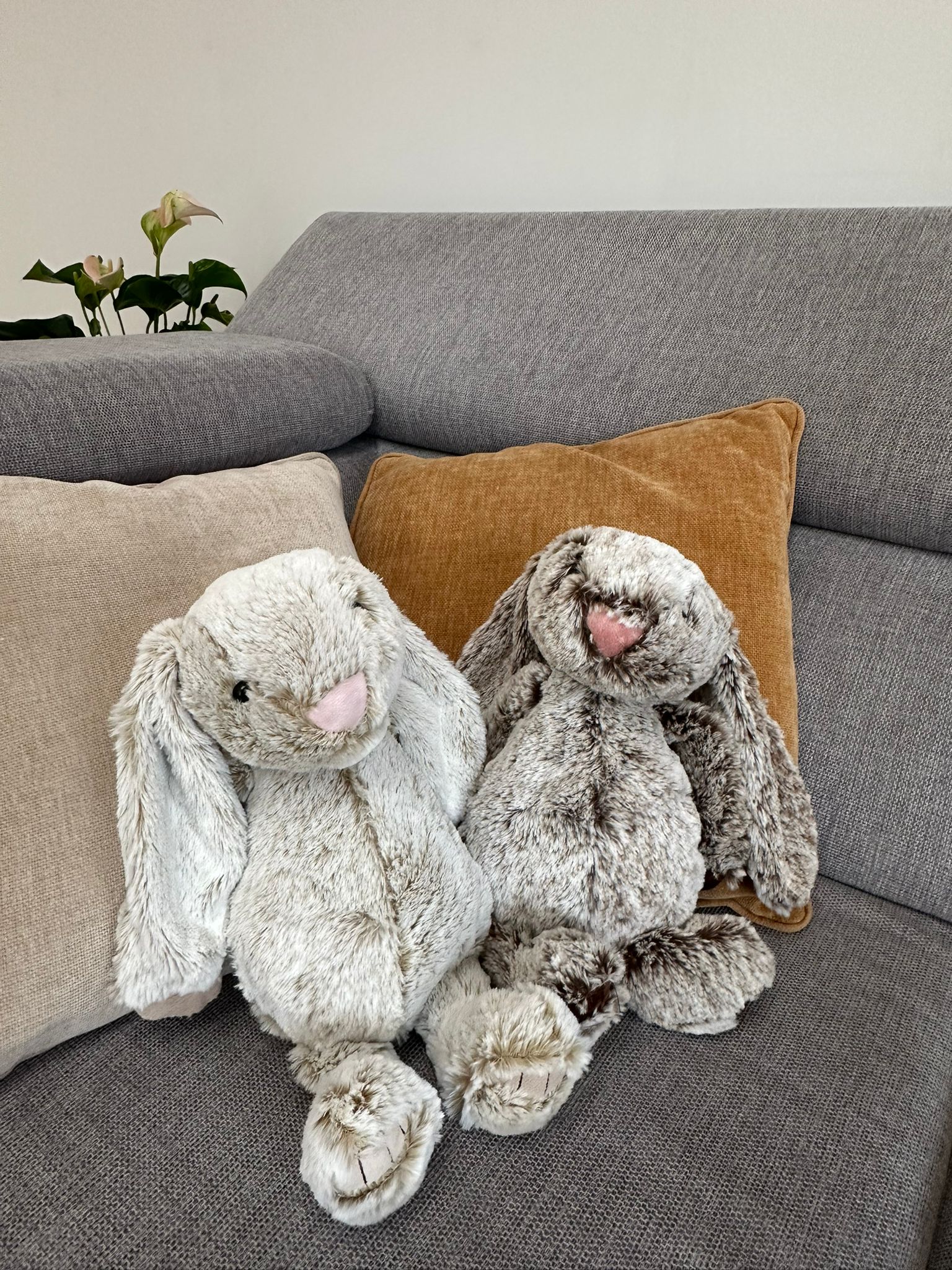 Gepersonaliseerd Knuffelkonijn – Beige