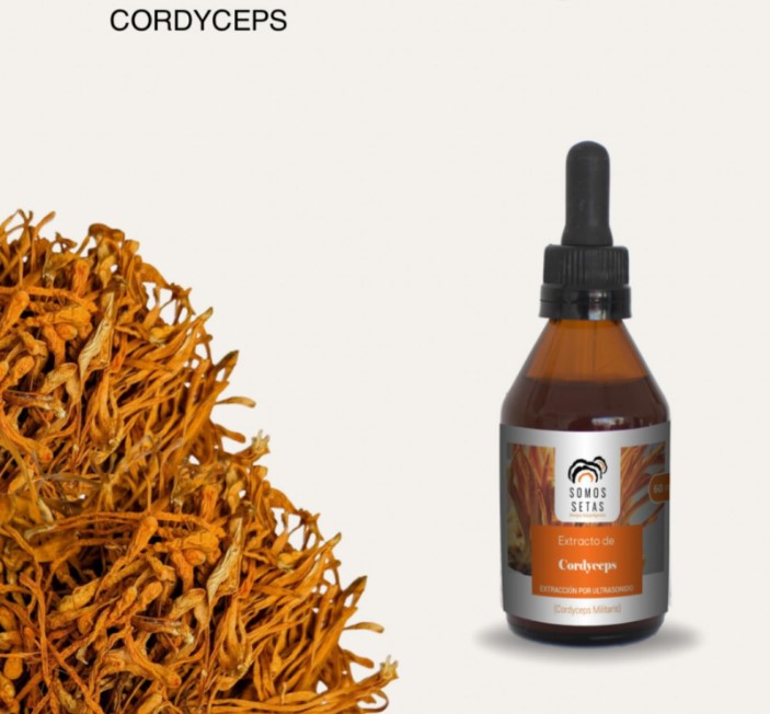 CORDYCEPS 60ml