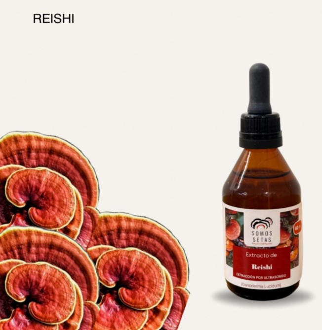 REISHI 60ml