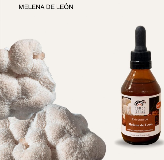 MELENA DE LEÓN 60ml