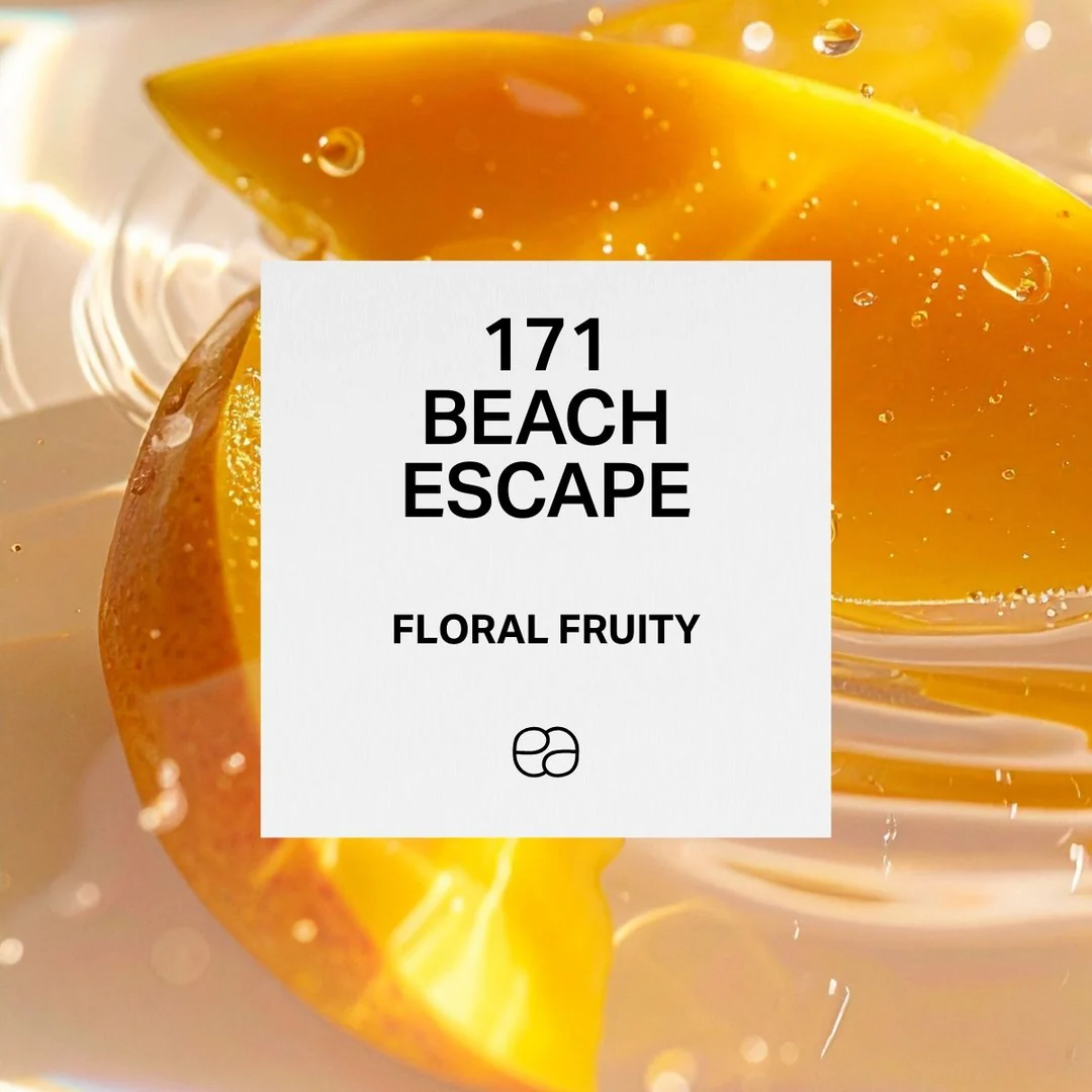 171 Beach Escape