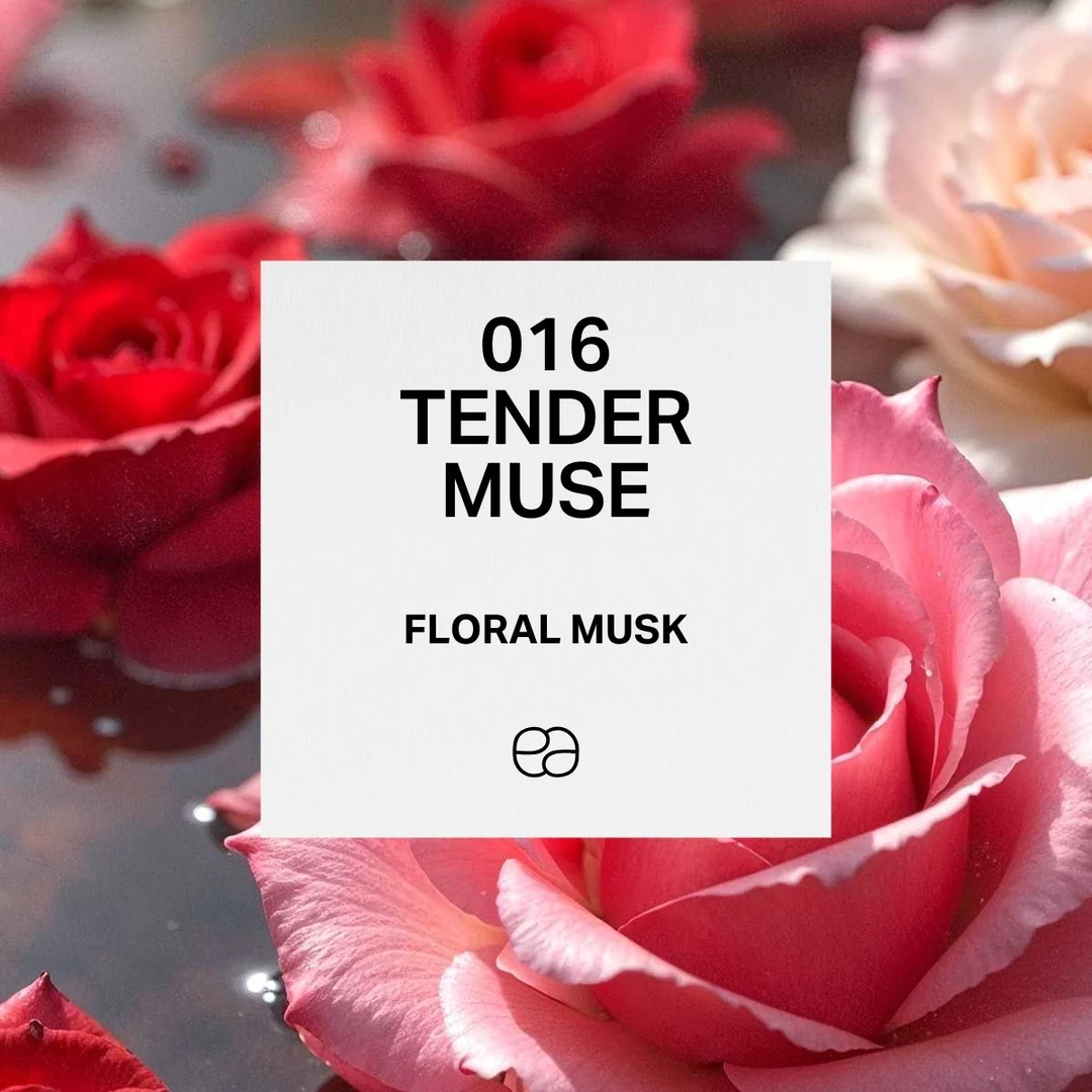 016 Tender Muse