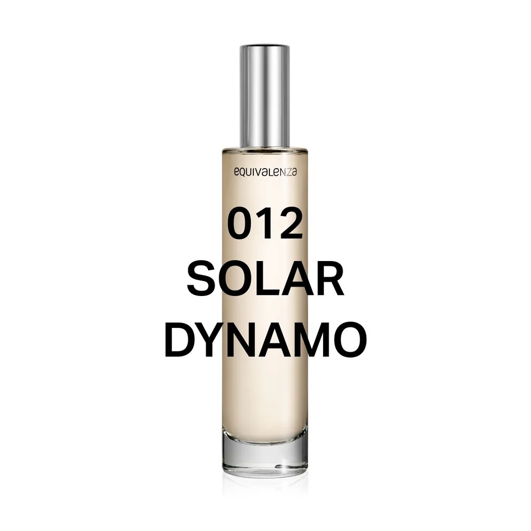 012 Solar Dynamo