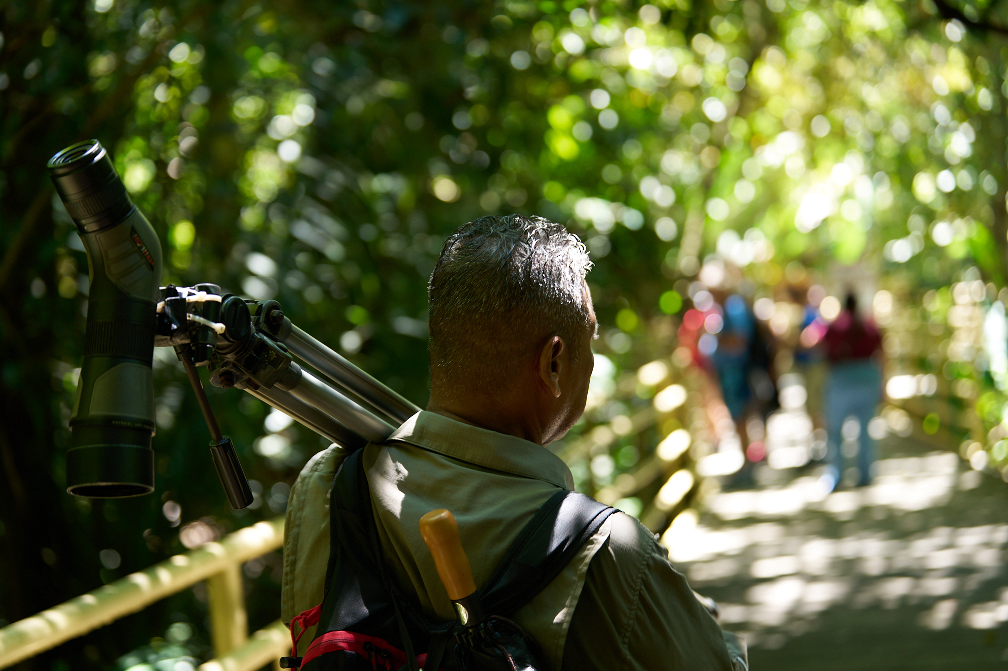 TOUR PRIVADO x persona ($40)