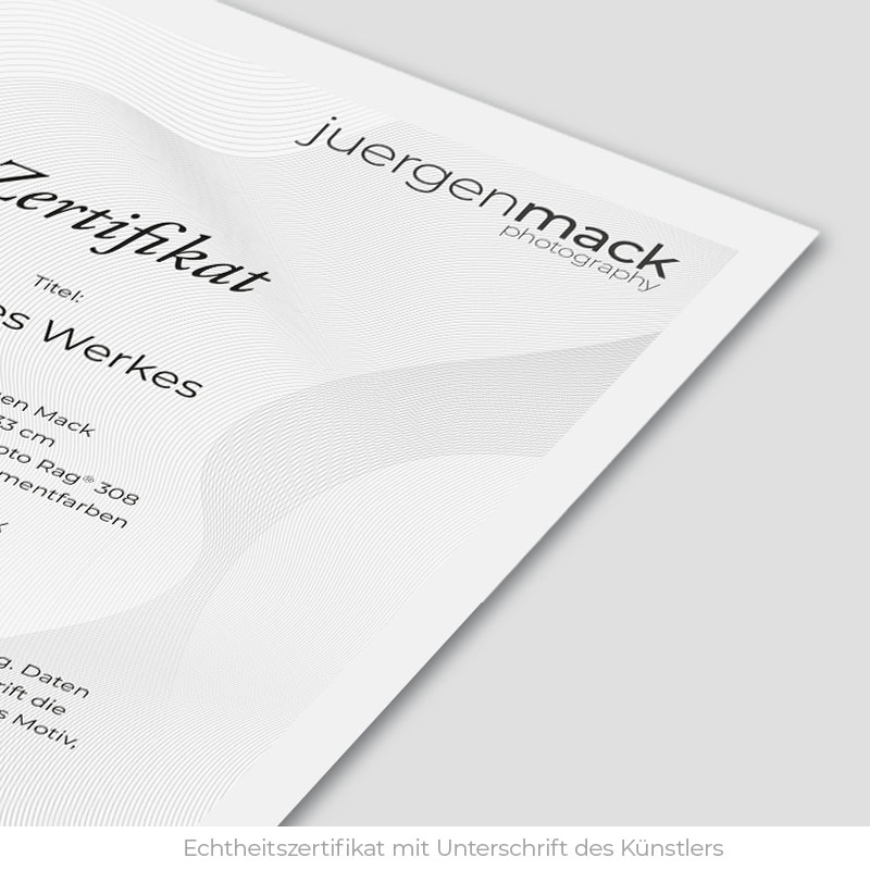 La Paloma | Fine Art Print