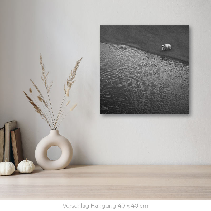 La Gata | Alu Dibond