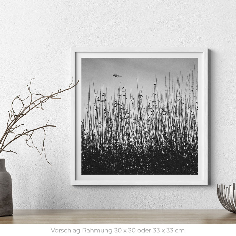 Floating Bird | Fine Art Print