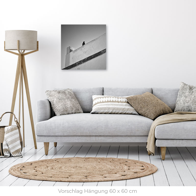 La Paloma | Alu Dibond