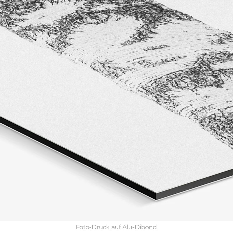 White Tree | Alu Dibond